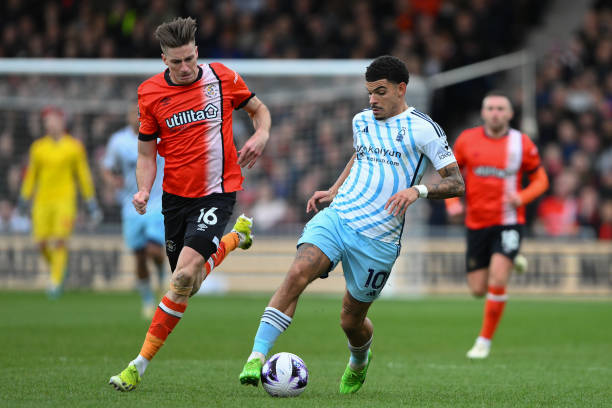 或许能借主 或许能借主