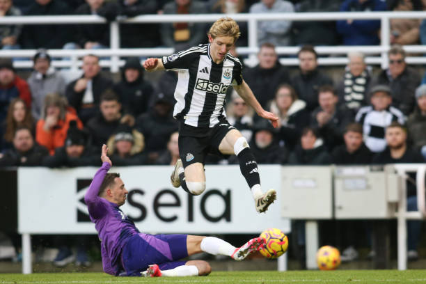 尽管年轻 尽管年轻