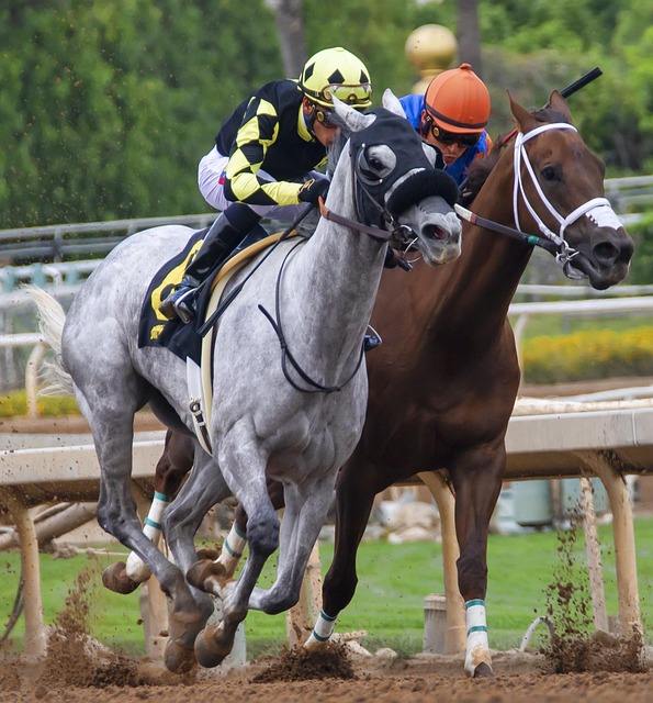 萨卡贡献了 萨卡贡献了